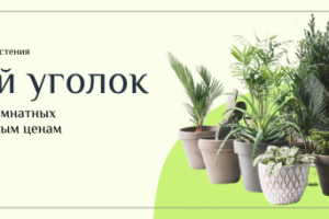 Баннер для интернет-магазина по продаже цветов и аксессуаров