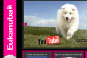 Сайт для дистрибьютера P&G Pet Care – Eukanuba.ru