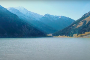 Монтаж Природы