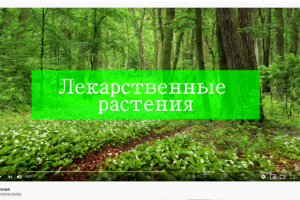 проморолик