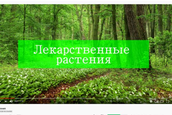 img4099408.png