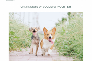 Online store of goods for your pets