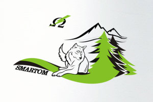 Логотип компании Amartom