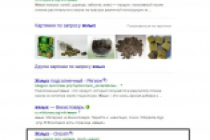 Поисковое продвижение сайта "orexim.com.ua"