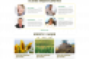 Сайт зерновой компании "Терра-Юг"