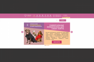 Дизайн сайта интернет-зоомагазина «Дружок.рус»