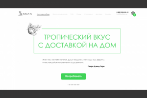 Дизайн сайта интернет-магазина тропических фруктов