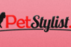 Тексты для ИМ одежды и обуви для собак