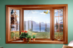 Пластиковые окна