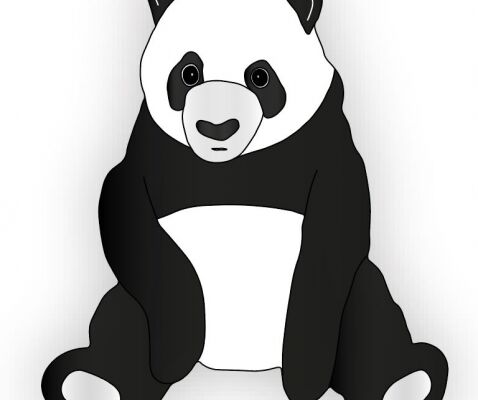 img3917194.png