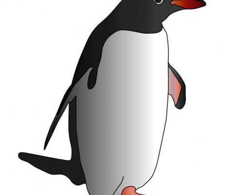 img3917195.png