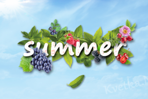 Коллаж "Лето"