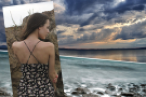 Работа 2564307