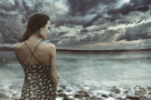 Работа 2564306