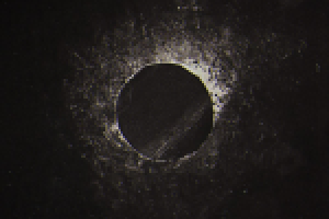 Работа 2564318