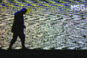 Работа 2564311