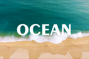 Ocean