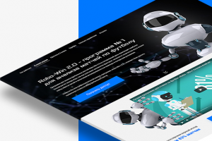 Landing page - robo win