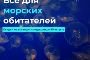 Баннер - Амобулятор