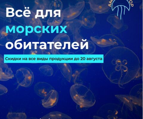 img4145454.png