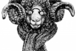 Мудрый барашек.