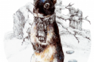 Зимний зайка.