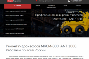 Сайт по ремонту гидронасосов