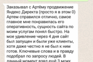 Настройка Я.Директ для фирмы по дезинфекции