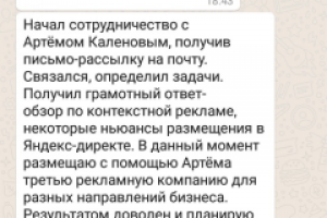 Настройка и ведение рекламы Я.Директ для магазина красок