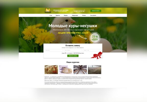 img3598911.png