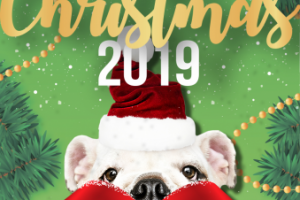 Работа 3582017