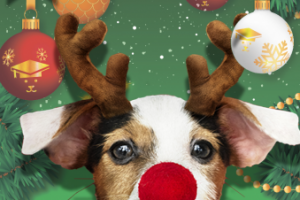 Работа 3582016