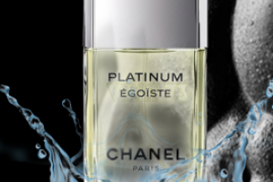 Работа 3582004