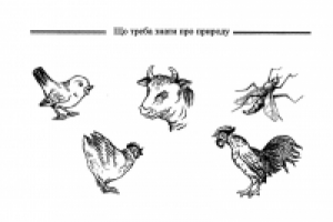 Работа 2572568