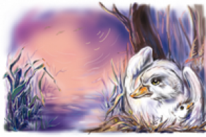 Иллюстрация к книге