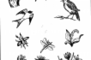 Работа 2142187