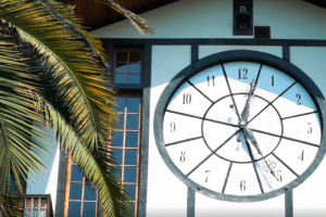 Корпоративное видео