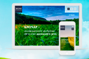 Сайт - визитка  Wordpress