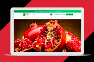 Интернет - магазин овощей Opencart