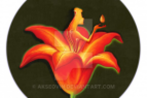 Огненная лилия  (ПРОДАЕТСЯ!)