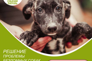 Баннеры для благотворительной организации