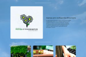 Рассада от производителя