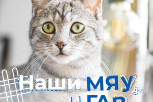 Баннер-пост для Instagram