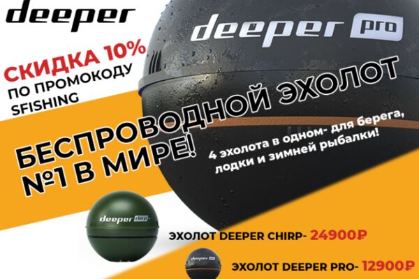 img3907834.png