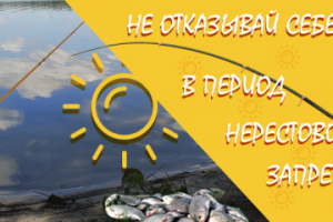 Работа 3857521