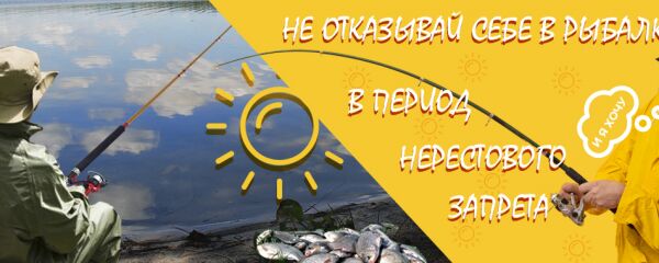 img3857521.png
