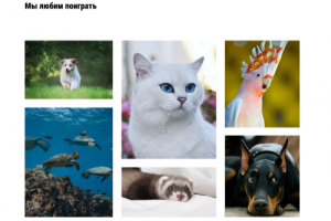 продолжение