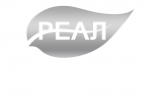 Работа 2558023