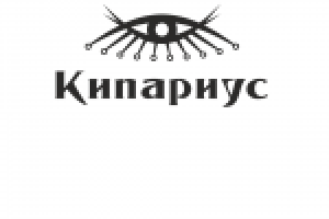 Работа 2429387