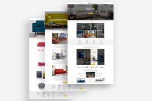 Дизайн интернет-магазина компании the-birdie